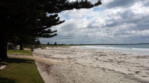 Read more about the article Man dies after being pulled from water at Middleton Beach, Albany, WA